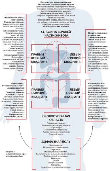 
        Острая гастродуоденальная боль. Часть 1			    