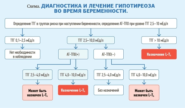 
        Синдром гипотиреоза и тиреотоксикоза у беременных			    