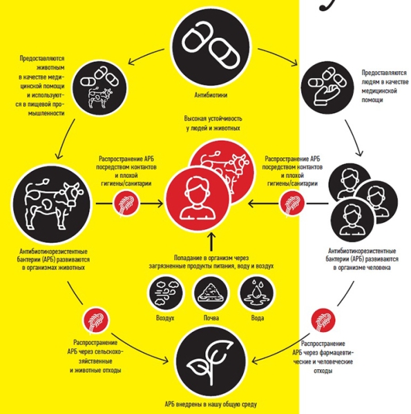 
        Устойчивость к антибиотикам... витает в воздухе			    
