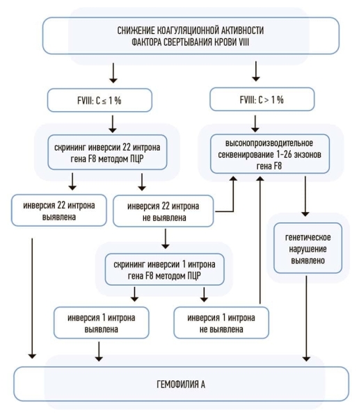 
        Гемофилия А в педиатрической практике: современные подходы к диагностике			    