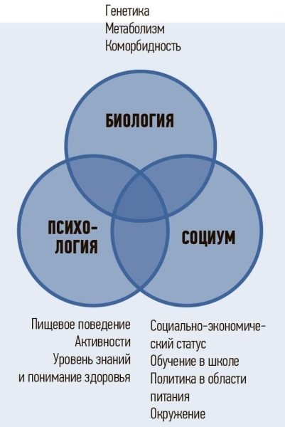 
        Ожирение и дефицит витамина Д. Есть ли взаимосвязь?			    