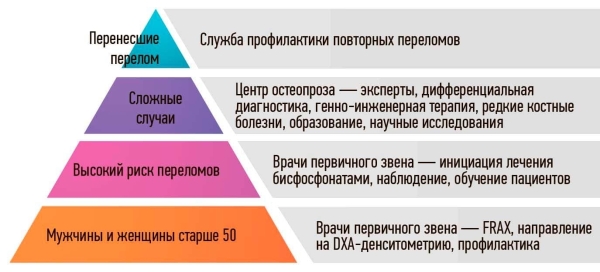 
        Остеопороз: болезнь «хрупкого» возраста			    