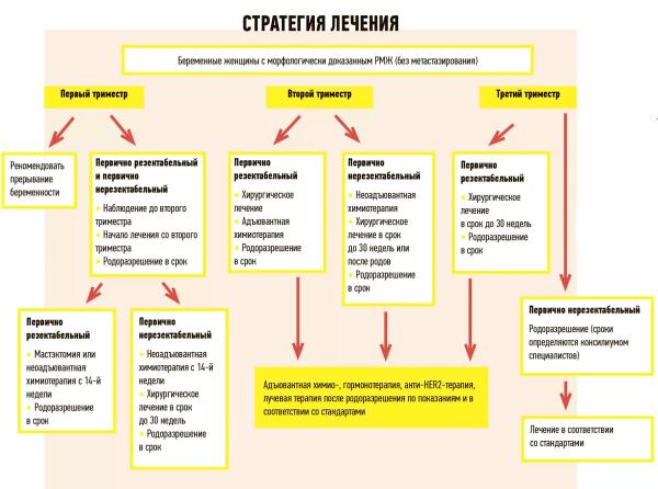 
        «Не беременность должна быть прервана, а рак». Диагностика и лечение онкологических заболеваний у беременных                    