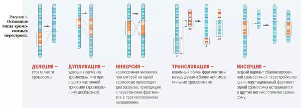 
        Опыт РНПЦ ДОГИ: цитогенетические исследования в современной онкогематологии                     